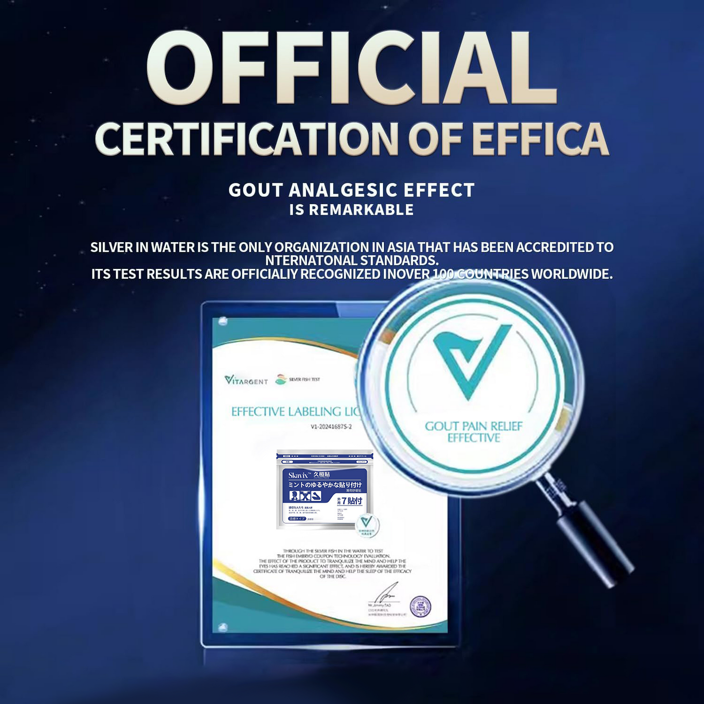 Back Pain Patch Natural Pain Relief Patches for Knee Neck Shoulder and Joint Pain Muscle Soreness Arthritis Relief